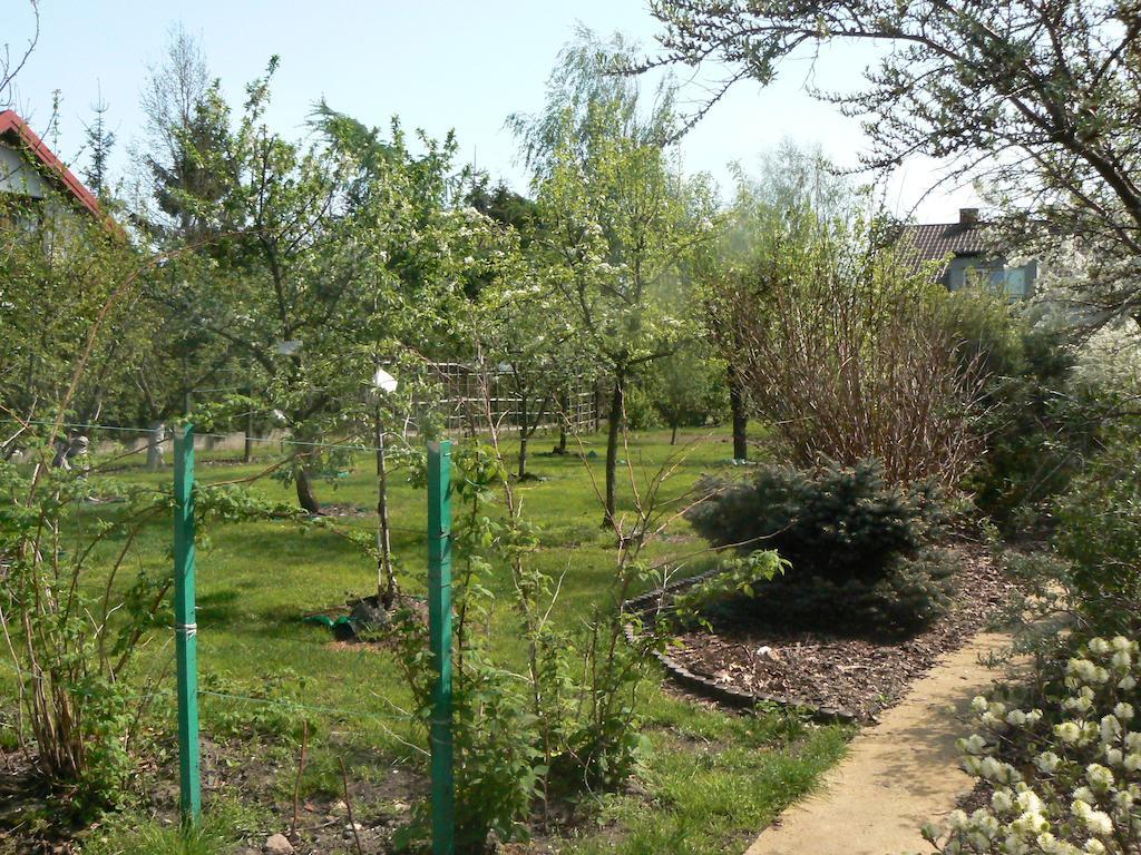 Wama Nowa Wies (Pruszkow)